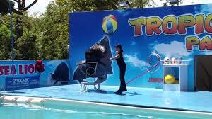 Zoo Tropicarium Park