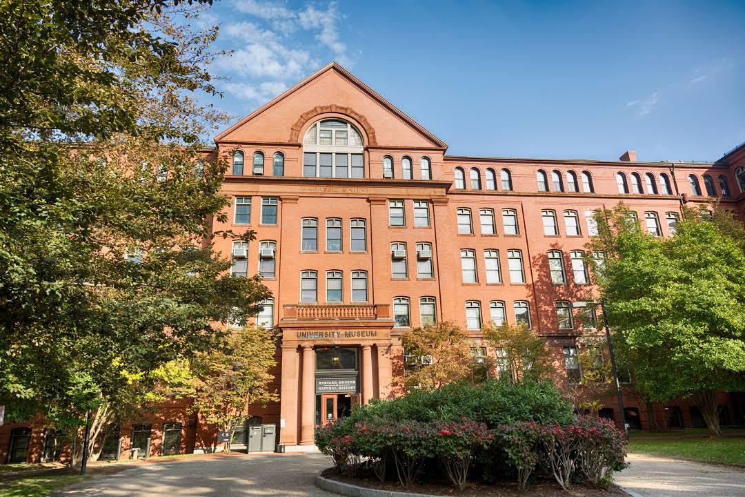 Harwardzkie Muzeum Historii Naturalnej