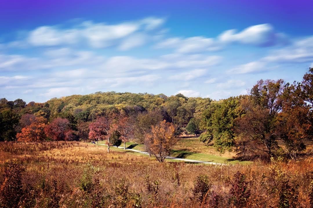 Park Narodowy Valley Forge