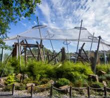 Ogród Zoologiczny Ostrawa