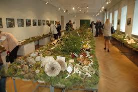 Narodowe Muzeum Historii Łotwy