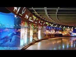 Litewskie Muzeum Morza w Kłajpedzie