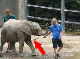 Ogród zoologiczny w Wuppertalu