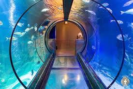 Akwarium morskie w Königswinter