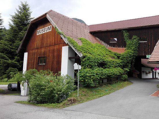Muzeum Grzybów w Treffen