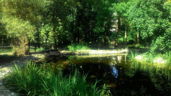 Zespół parku miejskiego Ogród Saski