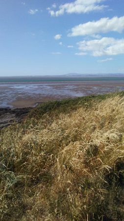 Heysham Nature Reserve