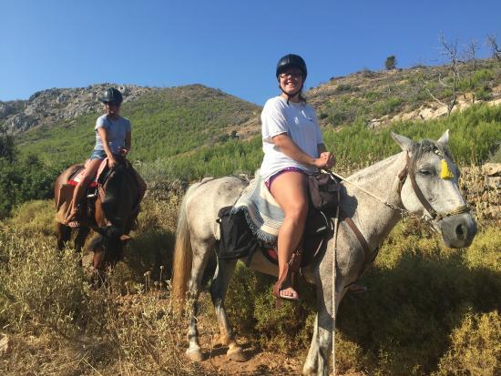 Harriets Hydra Horses