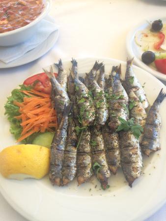 Astrofegia-Fish Tavern