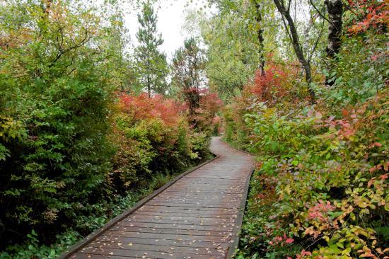 Park przyrody w Richmond