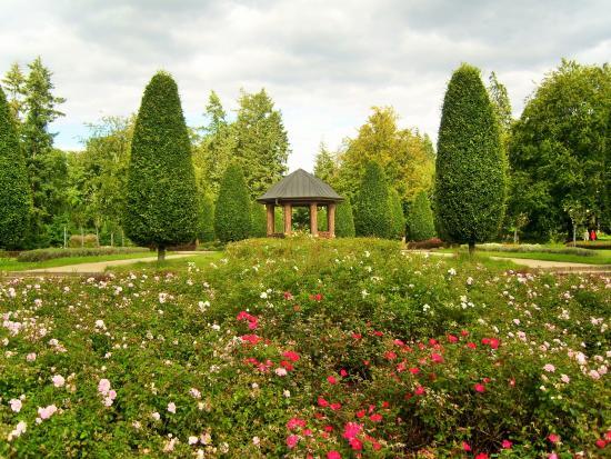Park miejski Altona Volkspark