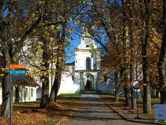 Basilica of Our Lady of the Assumption and St. Nicholas