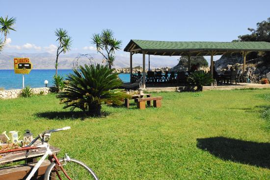 Ammus Restaurant Cafe