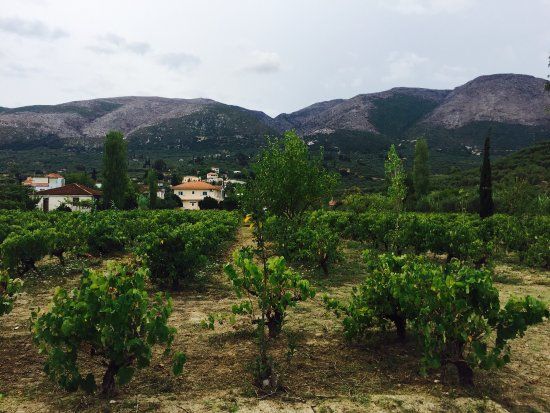 Therianos Family Farm