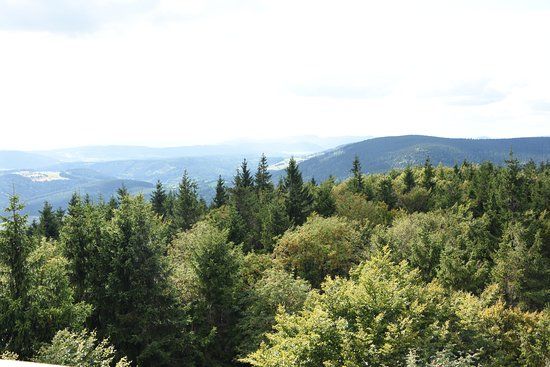 Rezerwat przyrody Bukowa Kalenica