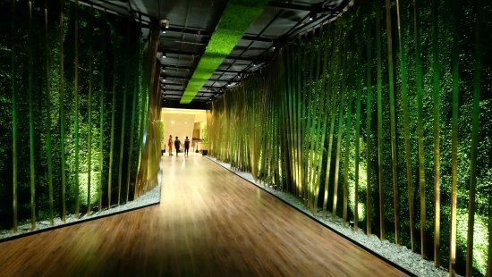 Centrum handlowe Newport