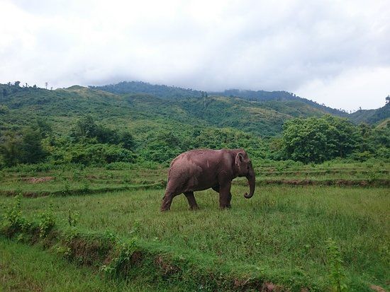 Vang Vieng Elephant Sanctuary