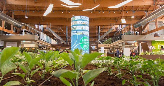 Centrum targowo-wystawiennicze FICO World Eataly