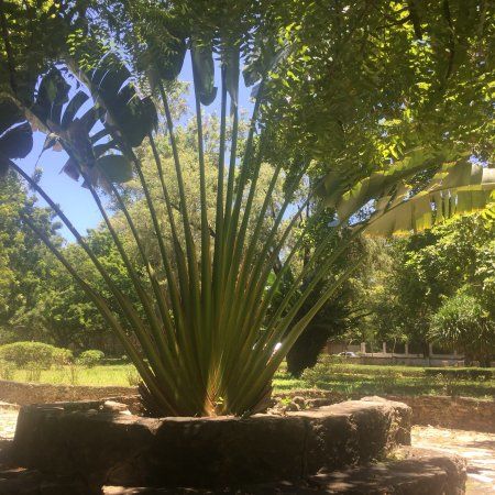 Ogród botaniczny w Dar es Salaam