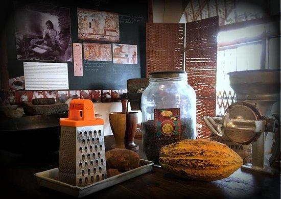 La Casa del Cacao