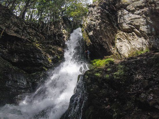 Sendero Velo De La Novia