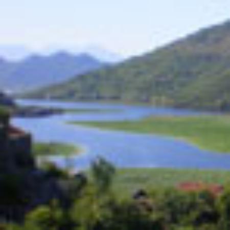 Magnosfera Self Service Centroborgo