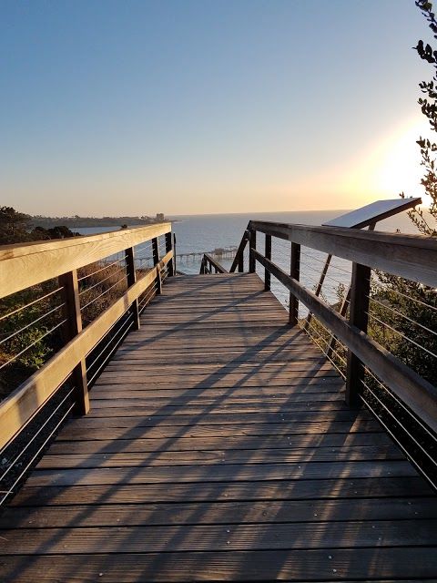 Akwarium Birch Aquarium at Scripps