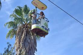 Ogród Zoologiczny w Lizbonie