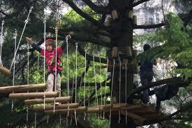 Park Jungle Adventure