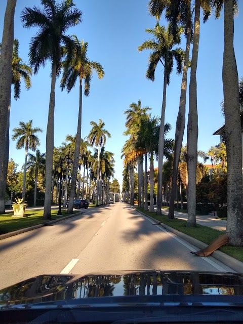 Palm Beach
