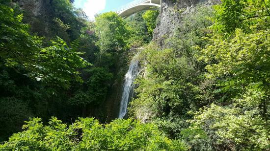 Narodowy ogród botaniczny Gruzji