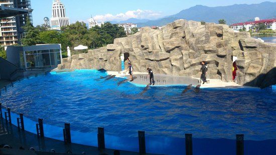 Delfinarium w Batumi