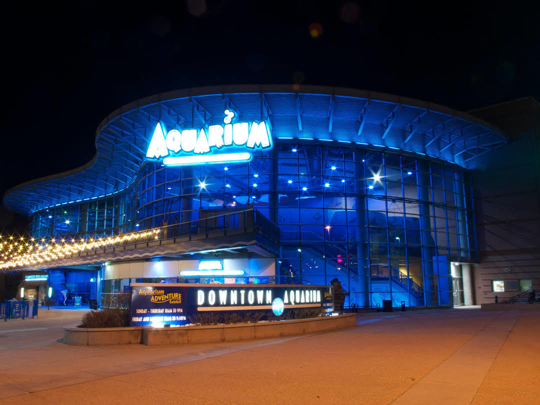 Oceanarium Downtown Aquarium w Denver