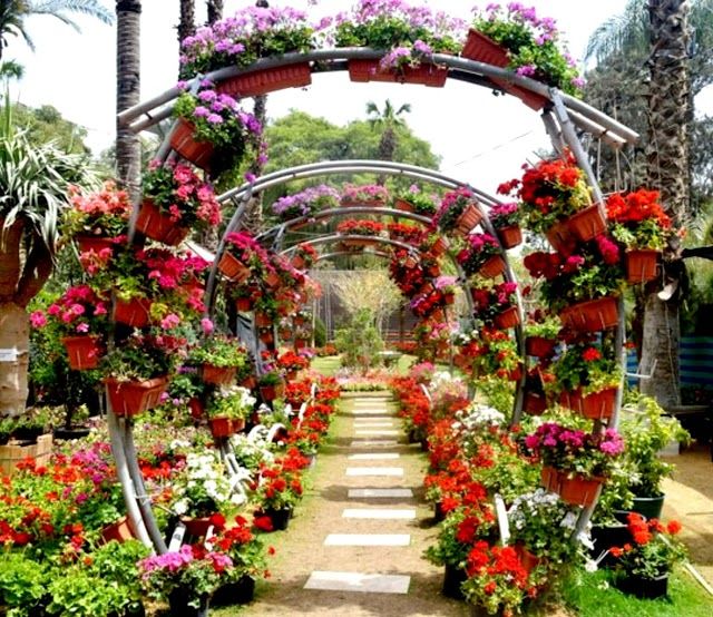 Ogrody botaniczne Orman