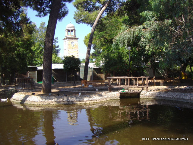 Ogród miejski w Chanii