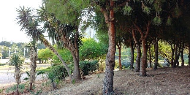 Park Horsh Beirut