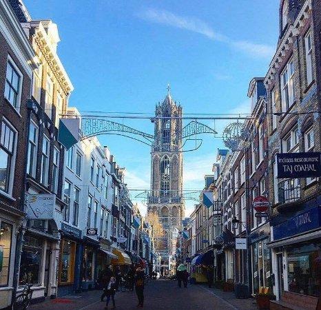 Katedra i Wieża Katedry