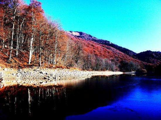 Park Narodowy Biogradska Gora