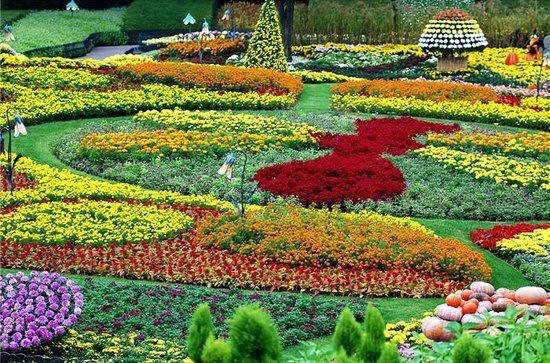 Ogród botaniczny Keukenhof