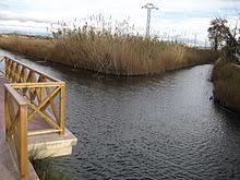 Marjal de Peníscola