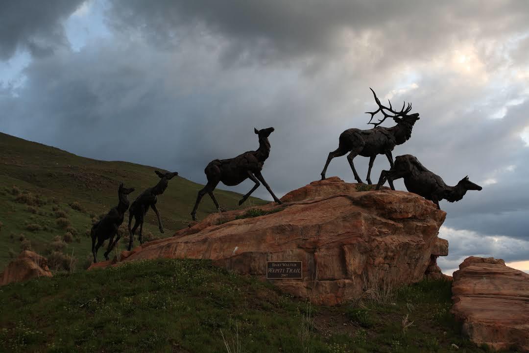 Narodowe Muzeum Sztuki Przyrodniczej