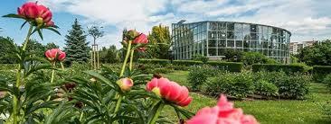 Botanical garden of medicinal plants