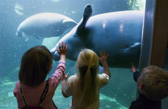 Ogród zoologiczny w Odense