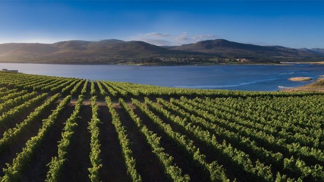 Benguela Cove Lagoon Wine Estate