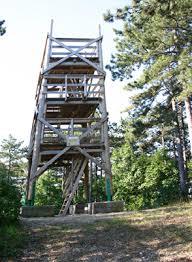 Kitaibel Pal Viewing Tower