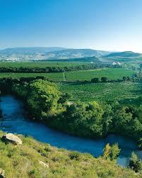 Winnica Finca Valpiedra