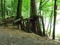 Rezerwat przyrody Spała