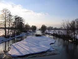 Rezerwat przyrody Świder