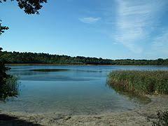 Rezerwat przyrody Jezioro Dębiniec