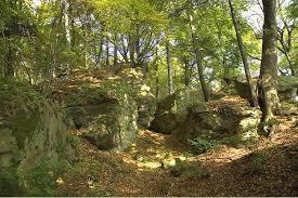 Rezerwat przyrody Golesz